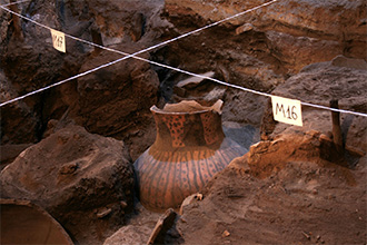 Areni